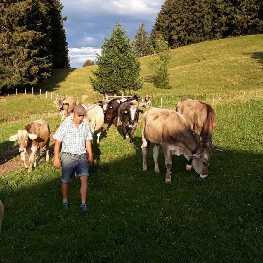 Andreashof Villa Heimenkirch Kültér fotó