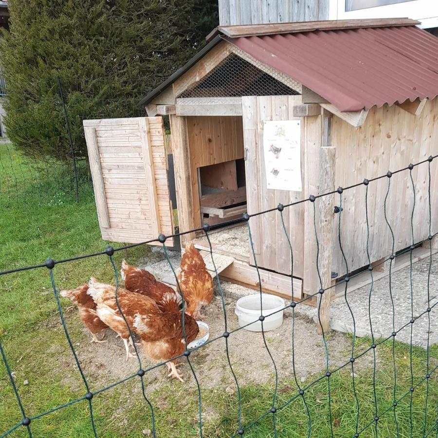 Andreashof Villa Heimenkirch Kültér fotó